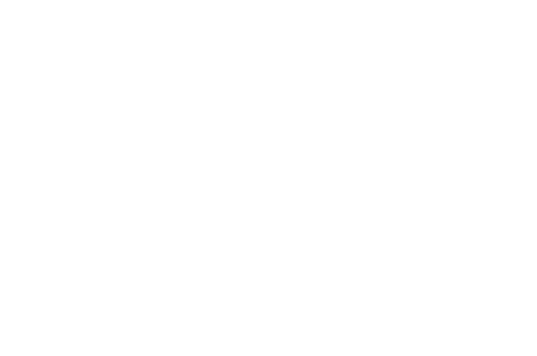 OFFICIAL SELECTION - Marthas Vineyard African American Film Festival - 2025