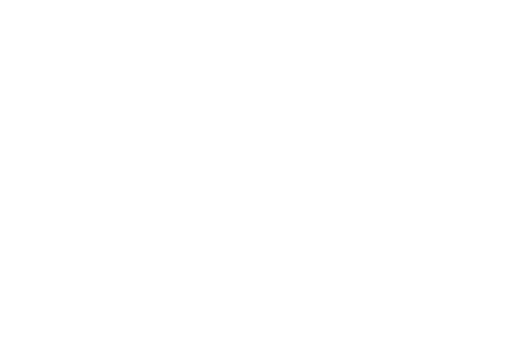 AWARD WINNER - North Beach American Film Festival - 2024